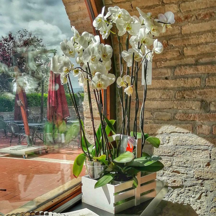 Locanda Giustini Ασίζη Εξωτερικό φωτογραφία